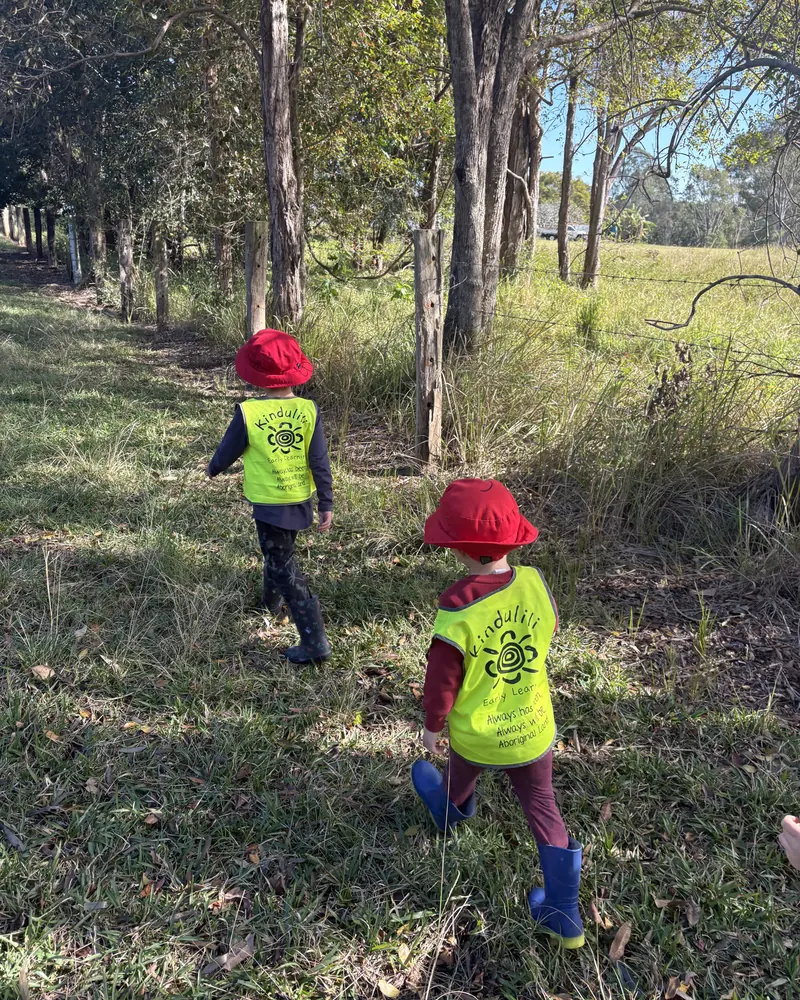 Two children walking through long grass among gum trees